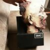 The Walking Dead - The Complete 02 szezon Blu-ray Szobros